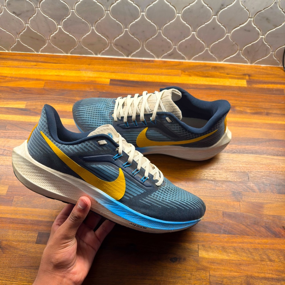 Nike air zoom Pegasus 39